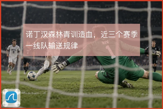 诺丁汉森林青训造血,近三个赛季一线队输送规律