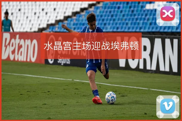 水晶宫主场迎战埃弗顿